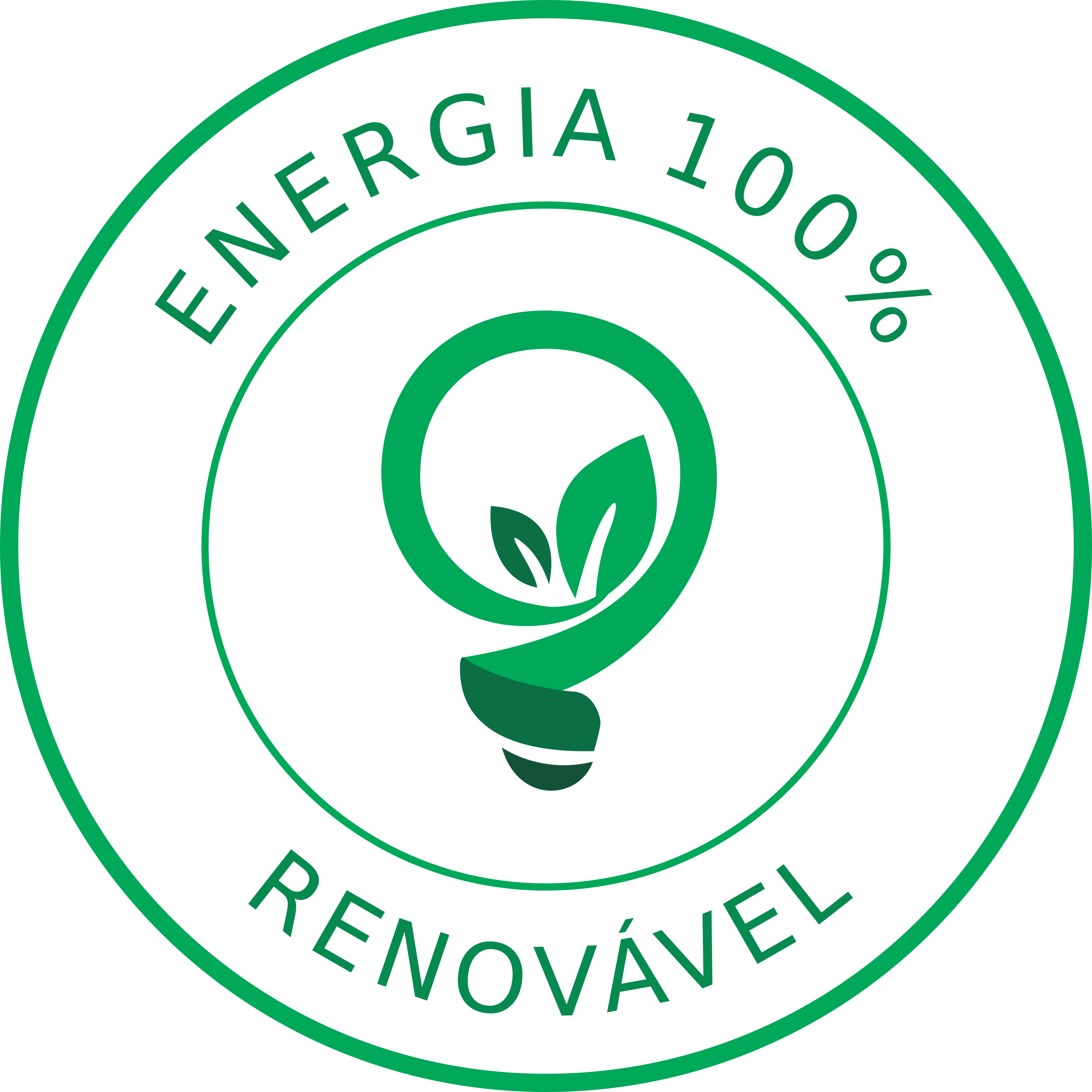 Selo de Energia 100% Renovável